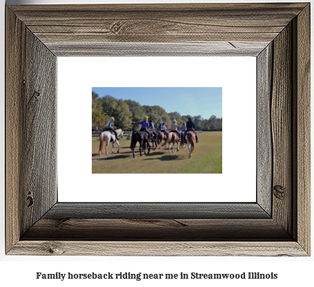 family horseback riding near me in Streamwood, Illinois